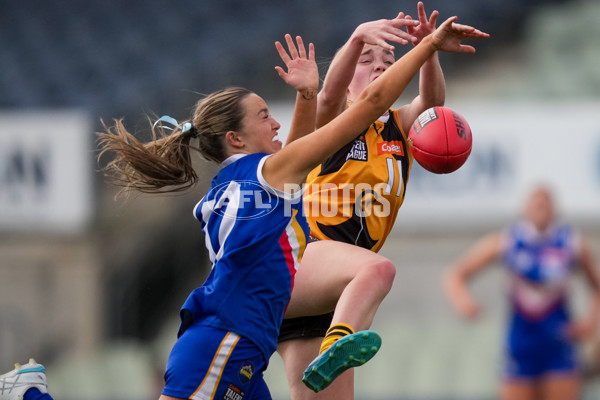 Coates League Girls 2025 Grand Final - Eastern Ranges v Dandenong Stingrays - A-62909851