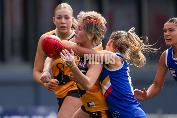 Coates League Girls 2025 Grand Final - Eastern Ranges v Dandenong Stingrays - A-62909855