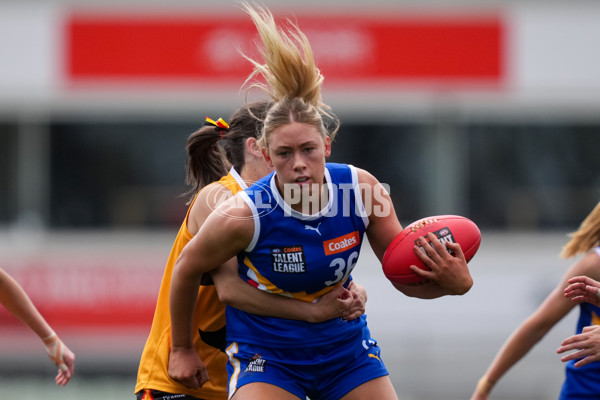 Coates League Girls 2025 Grand Final - Eastern Ranges v Dandenong Stingrays - A-62909857