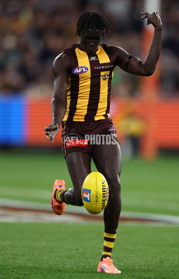 AFL 2025 Second Preliminary Final - Geelong v Hawthorn - A-62909978