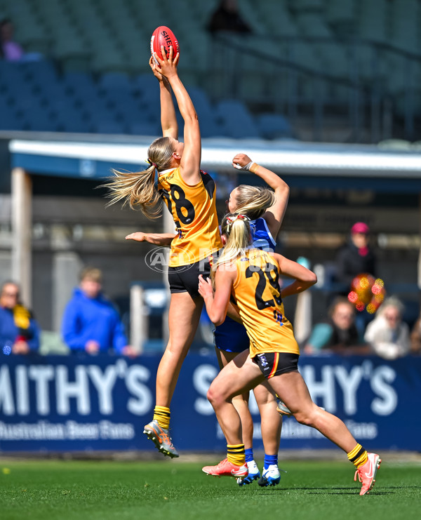 Coates League Girls 2025 Grand Final - Eastern Ranges v Dandenong Stingrays - A-62910012