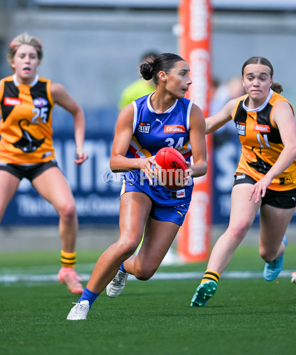 Coates League Girls 2025 Grand Final - Eastern Ranges v Dandenong Stingrays - A-62910016