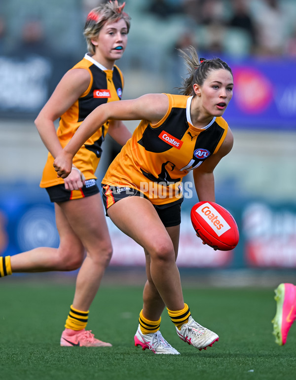 Coates League Girls 2025 Grand Final - Eastern Ranges v Dandenong Stingrays - A-62910019