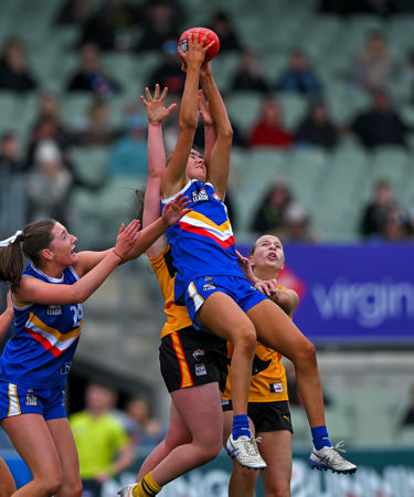 1723 CLGGFERDS200925JS.jpg