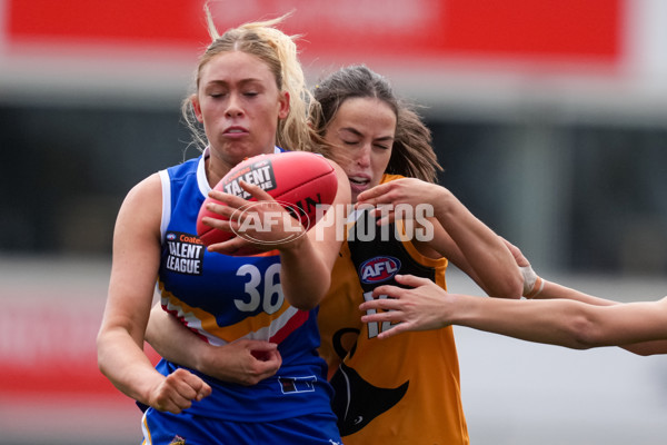 Coates League Girls 2025 Grand Final - Eastern Ranges v Dandenong Stingrays - A-62910048