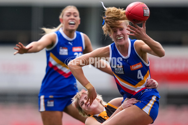 Coates League Girls 2025 Grand Final - Eastern Ranges v Dandenong Stingrays - A-62910064