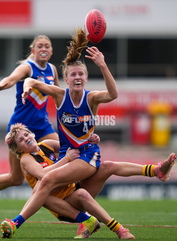 Coates League Girls 2025 Grand Final - Eastern Ranges v Dandenong Stingrays - A-62912397