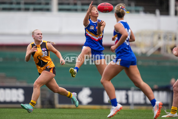 Coates League Girls 2025 Grand Final - Eastern Ranges v Dandenong Stingrays - A-62912415