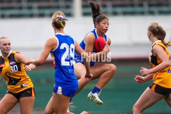 Coates League Girls 2025 Grand Final - Eastern Ranges v Dandenong Stingrays - A-62912416