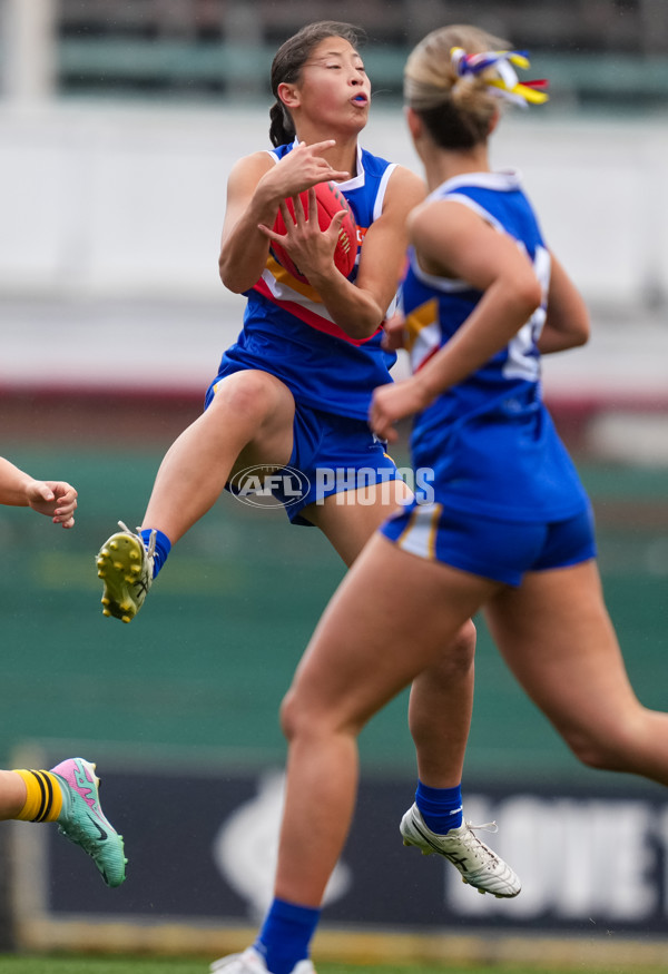 Coates League Girls 2025 Grand Final - Eastern Ranges v Dandenong Stingrays - A-62912417