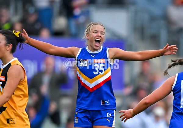 Coates League Girls 2025 Grand Final - Eastern Ranges v Dandenong Stingrays - A-62912425
