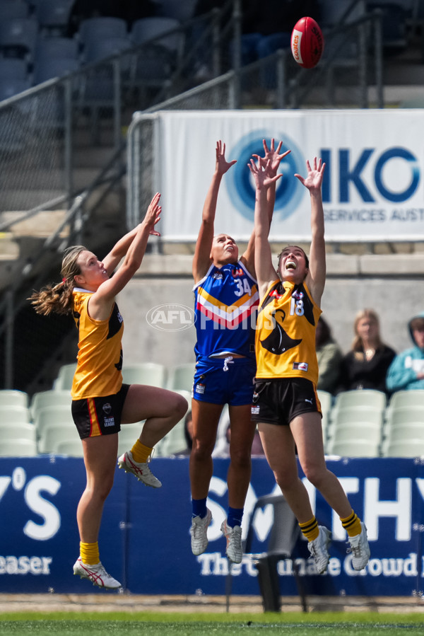 Coates League Girls 2025 Grand Final - Eastern Ranges v Dandenong Stingrays - A-62912433