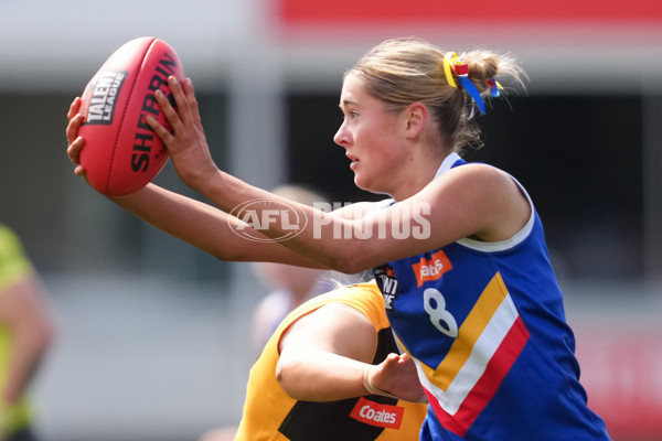 Coates League Girls 2025 Grand Final - Eastern Ranges v Dandenong Stingrays - A-62912455