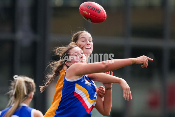 Coates League Girls 2025 Grand Final - Eastern Ranges v Dandenong Stingrays - A-62912603