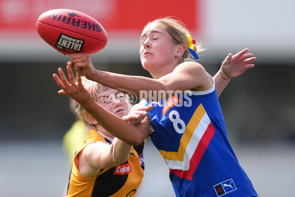 Coates League Girls 2025 Grand Final - Eastern Ranges v Dandenong Stingrays - A-62912654