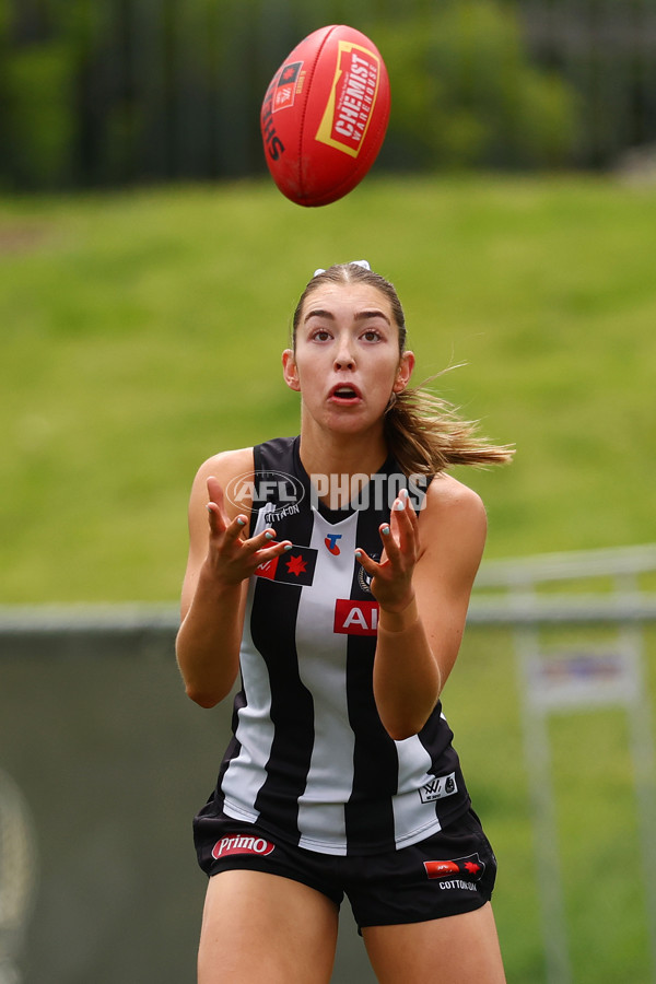 AFLW 2025 Round 06 - Collingwood v Hawthorn - A-62912662