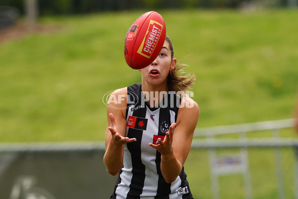 AFLW 2025 Round 06 - Collingwood v Hawthorn - A-62912664