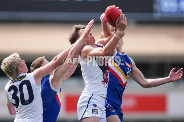 Coates League Boys 2025 Grand Final - Eastern Ranges v Sandringham Dragons - A-62915236