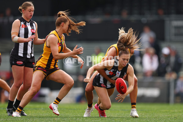AFLW 2025 Round 06 - Collingwood v Hawthorn - A-62918183