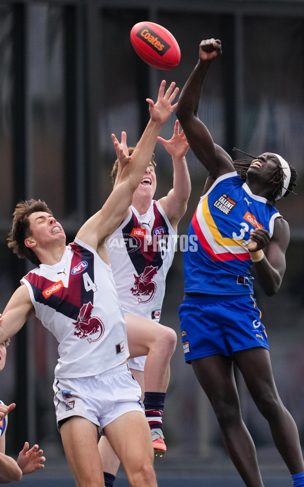 Coates League Boys 2025 Grand Final - Eastern Ranges v Sandringham Dragons - A-62918224