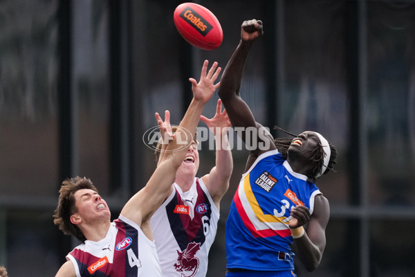 Coates League Boys 2025 Grand Final - Eastern Ranges v Sandringham Dragons - A-62918225