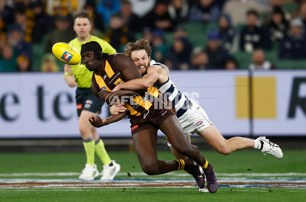 AFL 2025 Second Preliminary Final - Geelong v Hawthorn - A-62918585