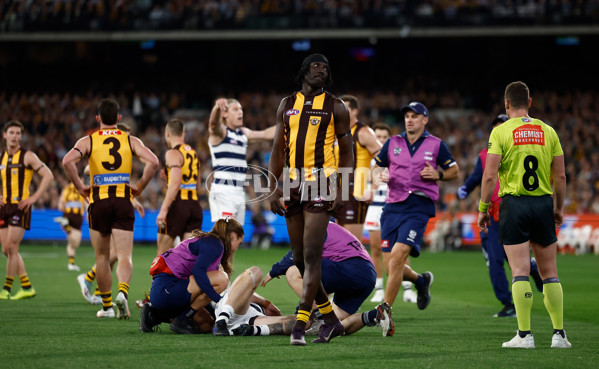 AFL 2025 Second Preliminary Final - Geelong v Hawthorn - A-62921434