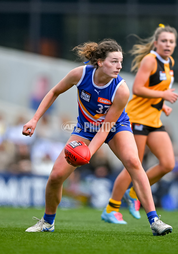 Coates League Girls 2025 Grand Final - Eastern Ranges v Dandenong Stingrays - A-62923571