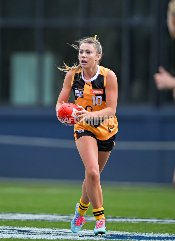 Coates League Girls 2025 Grand Final - Eastern Ranges v Dandenong Stingrays - A-62923574