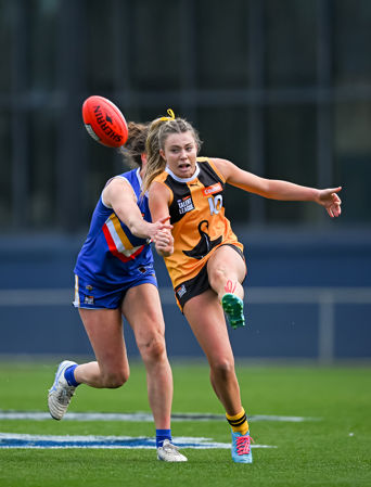 4046 CLGGFERDS200925JS.jpg