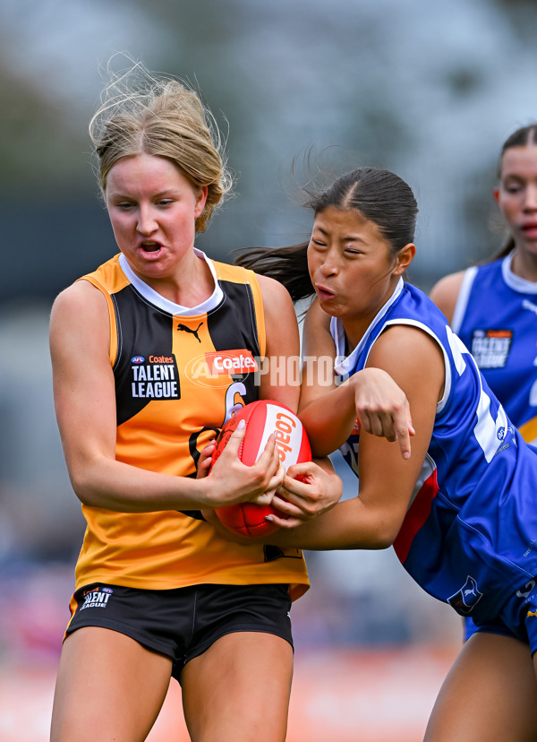 Coates League Girls 2025 Grand Final - Eastern Ranges v Dandenong Stingrays - A-62924250