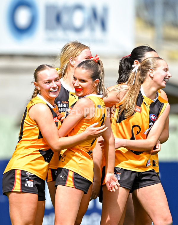 Coates League Girls 2025 Grand Final - Eastern Ranges v Dandenong Stingrays - A-62927130