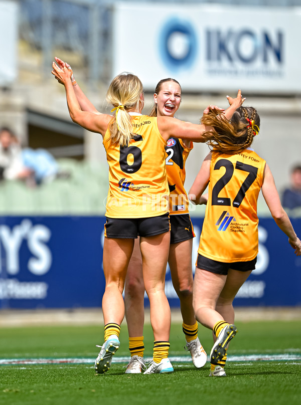 Coates League Girls 2025 Grand Final - Eastern Ranges v Dandenong Stingrays - A-62927131