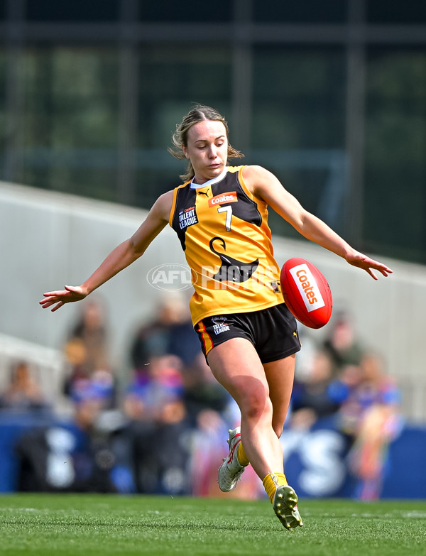 Coates League Girls 2025 Grand Final - Eastern Ranges v Dandenong Stingrays - A-62927132