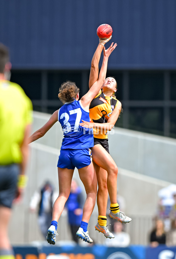 Coates League Girls 2025 Grand Final - Eastern Ranges v Dandenong Stingrays - A-62927135