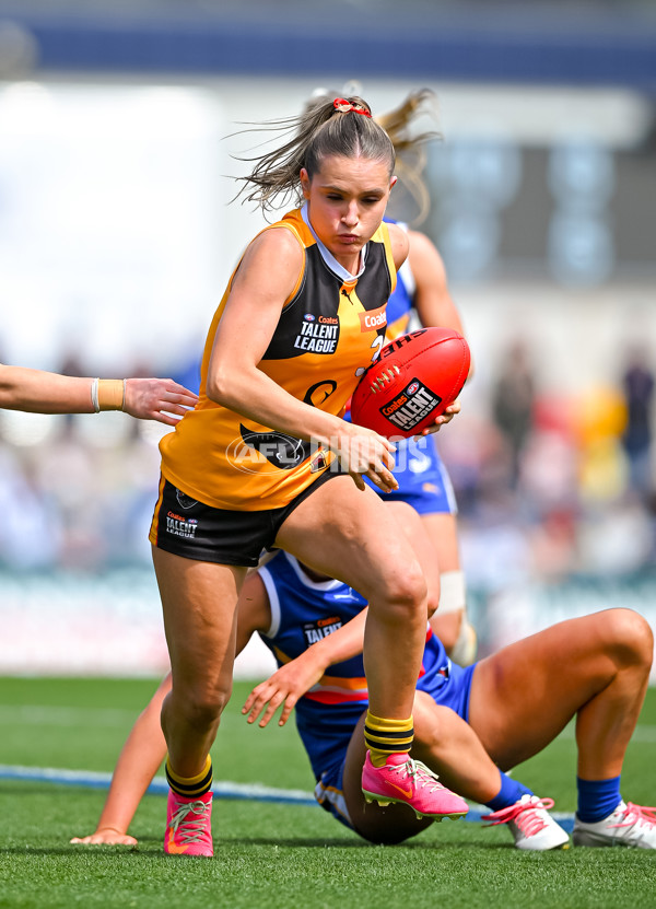 Coates League Girls 2025 Grand Final - Eastern Ranges v Dandenong Stingrays - A-62927136