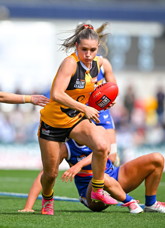 3896 CLGGFERDS200925JS.jpg