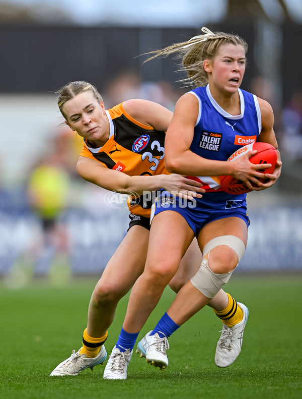 Coates League Girls 2025 Grand Final - Eastern Ranges v Dandenong Stingrays - A-62929262