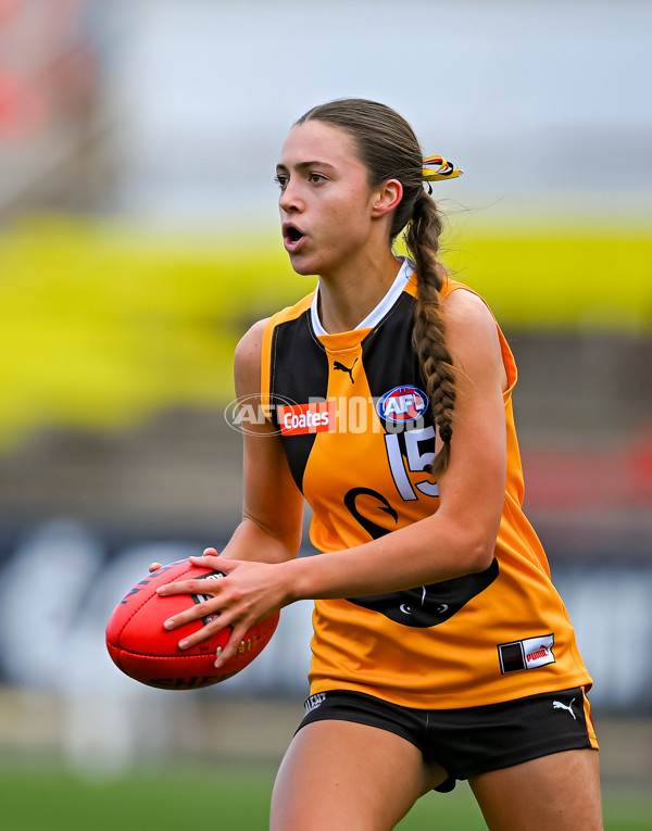 Coates League Girls 2025 Grand Final - Eastern Ranges v Dandenong Stingrays - A-62929268
