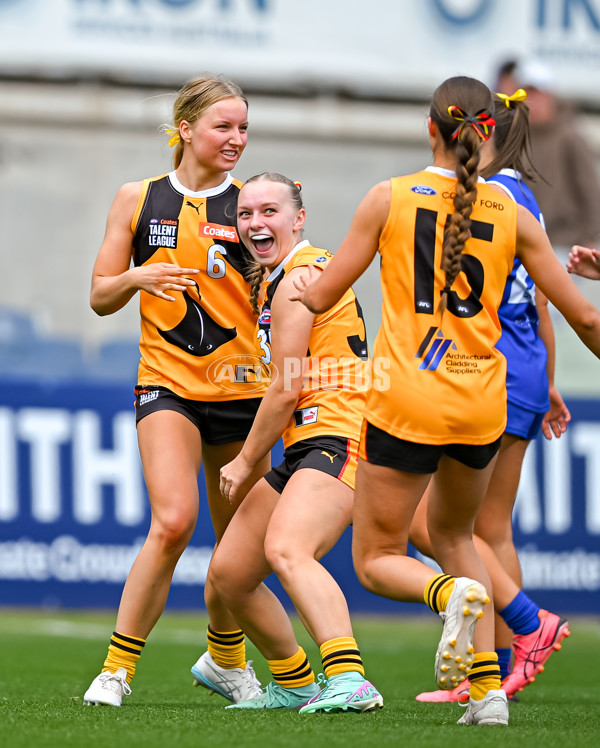 Coates League Girls 2025 Grand Final - Eastern Ranges v Dandenong Stingrays - A-62929271