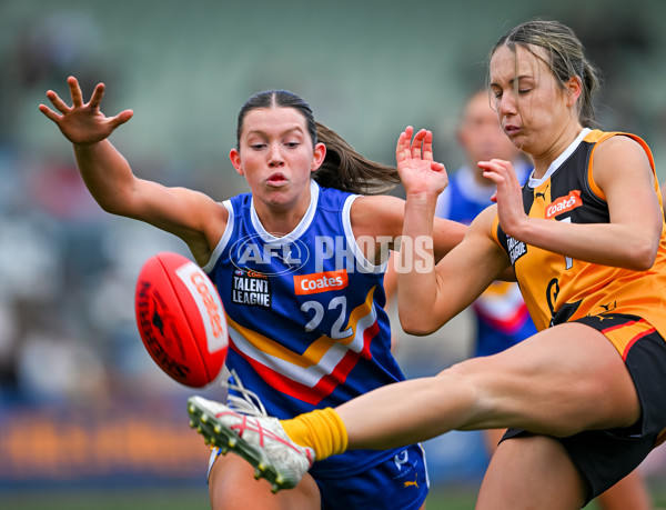 Coates League Girls 2025 Grand Final - Eastern Ranges v Dandenong Stingrays - A-62929274