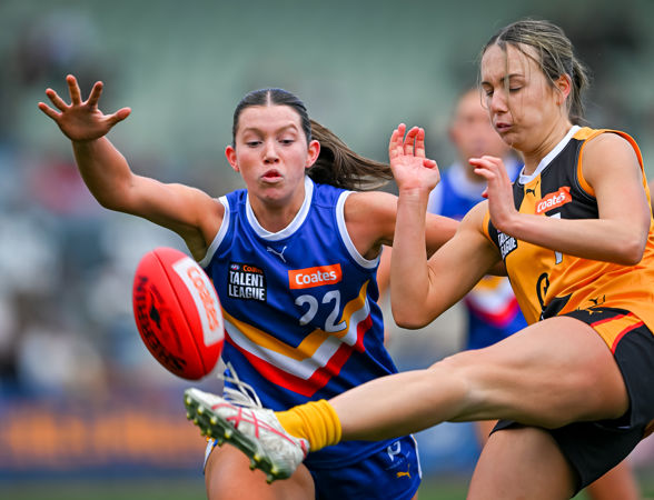 3328 CLGGFERDS200925JS.jpg