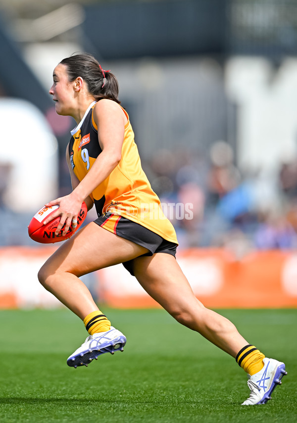 Coates League Girls 2025 Grand Final - Eastern Ranges v Dandenong Stingrays - A-62929979