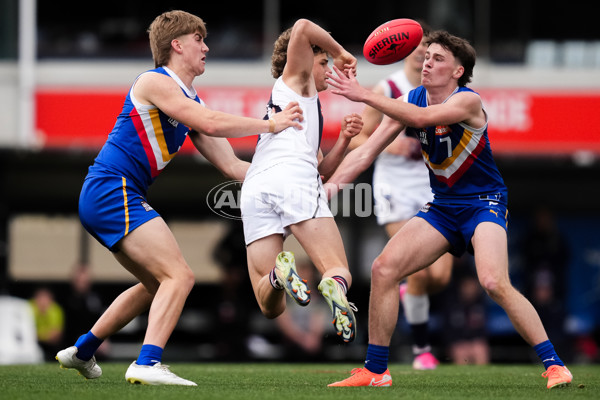 Coates League Boys 2025 Grand Final - Eastern Ranges v Sandringham Dragons - A-62929987