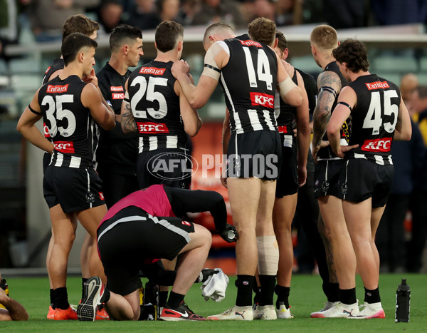 AFL 2025 First Preliminary Final - Collingwood v Brisbane - A-62947492