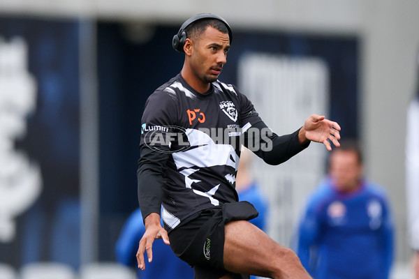 VFL 2025 Grand Final - Footscray Bulldogs v Southport - A-62964034