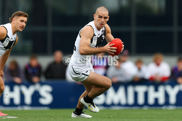 VFL 2025 Grand Final - Footscray Bulldogs v Southport - A-62966424
