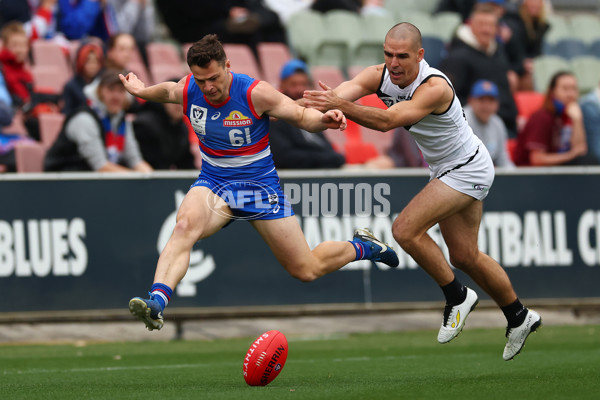VFL 2025 Grand Final - Footscray Bulldogs v Southport - A-62968585