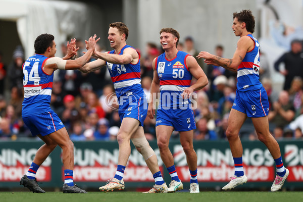 VFL 2025 Grand Final - Footscray Bulldogs v Southport - A-62968644