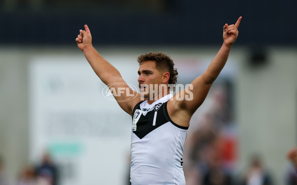 VFL 2025 Grand Final - Footscray Bulldogs v Southport - A-62971218